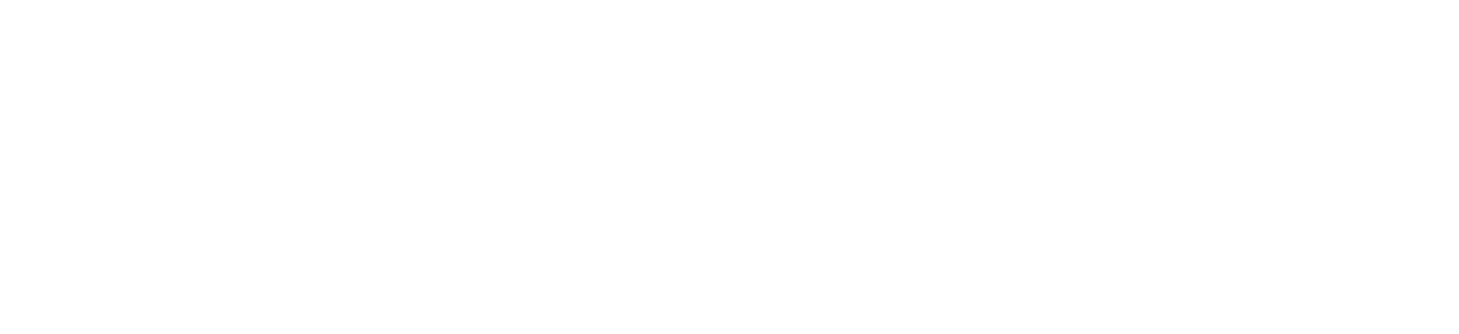 Titre du jeu